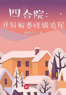 四合院：开局被娄晓娥追尾